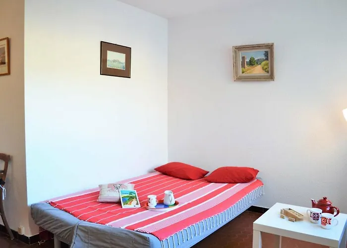 2 Pieces Avec Piscine Et Parking A 2 Pas De La Au Lavandou - Fr-1-251-384 Daire